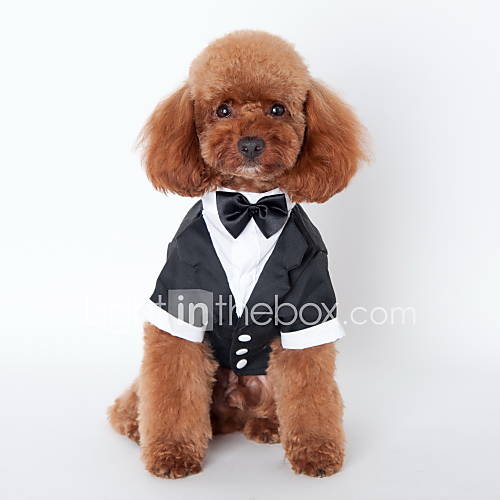 Image de Chat Chien Smoking VÃªtements pour Chien Mignon Cosplay Mariage NÅ“ud papillon Noir