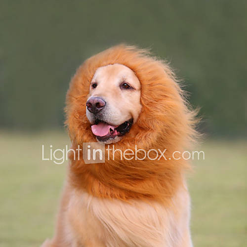 Image de Chat Chien Costume Perruque VÃªtements pour Chien EtÃ© Printemps/Automne Animal Cosplay Lion Blanc Noir Brun claire Brun FoncÃ©