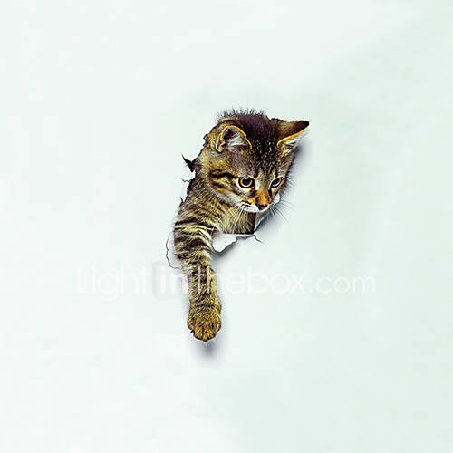 Image de Animaux Mode 3D Stickers muraux Autocollants avion Autocollants muraux 3D Autocollants muraux dÃ©coratifs Autocollants toilettes MatÃ©riel