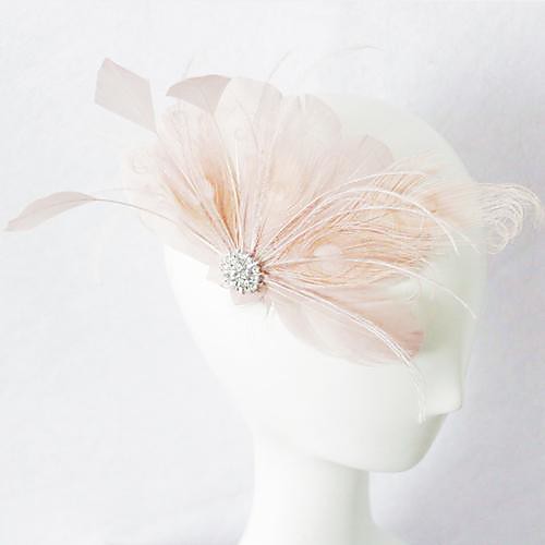 

Хрусталь / Перья / Ткань Диадемы / Fascinators с 1 Свадьба / Особые случаи / Вечеринка / ужин Заставка