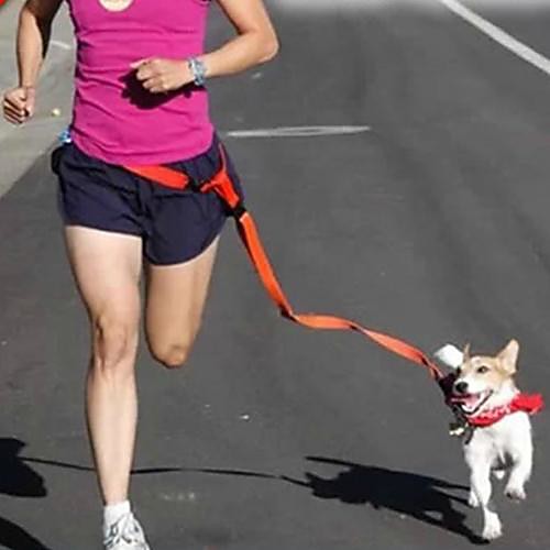 фото Собака hands free поводок регулируется / выдвижной бег бесконтактный однотонный нейлон зеленый синий розовый Lightinthebox