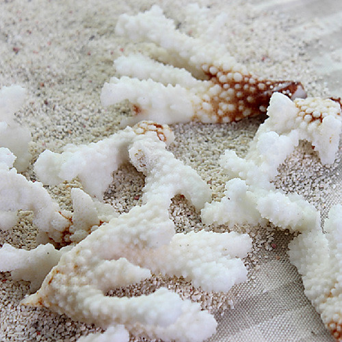 

0.5kg Imitation Coral for Ornament Decoration for Aquarium