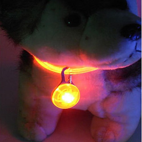 фото Кошка собака таблички светодиодные фонарики текстильный нейлон зеленый синий розовый Lightinthebox