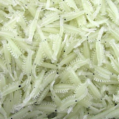 

100 pcs Рыболовная приманка Мягкие приманки Креветка Мягкие пластиковые Светящийся Морское рыболовство Пресноводная рыбалка Ужение на спиннинг