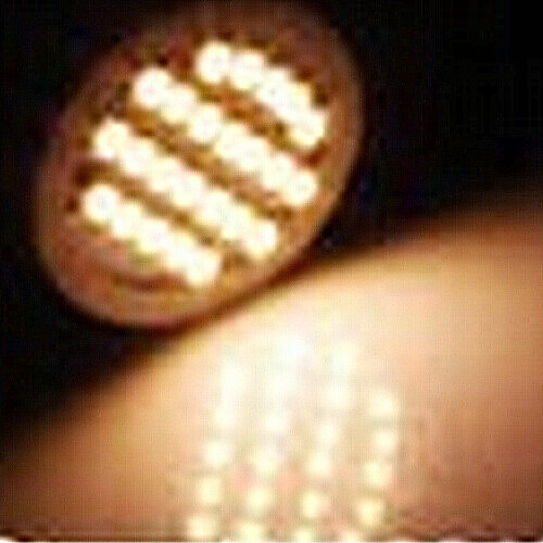 фото 10 шт. 3 w двухштырьковые led лампы 300-400 lm g4 24 светодиодные бусины smd 3528 тёплый белый холодный белый 12 v / rohs / ccc Lightinthebox