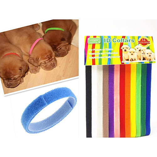 

Cat Dog Collar Adjustable / Retractable Rainbow Nylon Rainbow