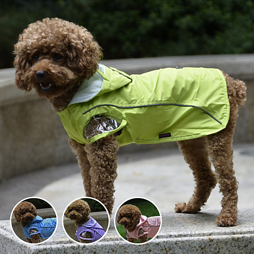 фото Собака дождевик одежда для собак зеленый синий розовый пластик нейлон костюм назначение весна & осень водонепроницаемый Lightinthebox