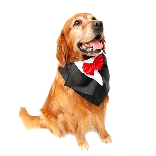 

Кошка Собака смокинг пояс / Бабочка Одежда для собак Лиловый Красный Синий Костюм Терилен Бант День рождения Свадьба Новый год