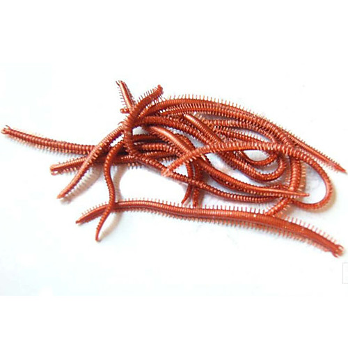 

10 pcs Soft Bait Sinking Bass Trout Pike General Fishing Plastic
