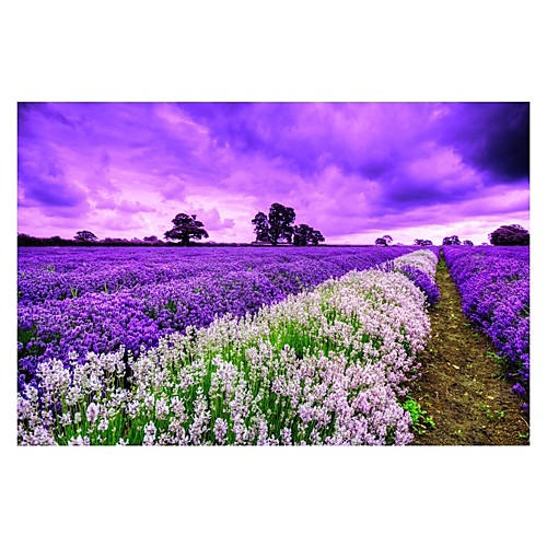 

Flower Jigsaw Puzzle Adult Puzzle Jumbo Wooden Adults' Toy Gift