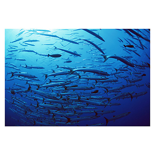 

1000 pcs Shark Star Jigsaw Puzzle Adult Puzzle Jumbo Wooden Adults' Toy Gift