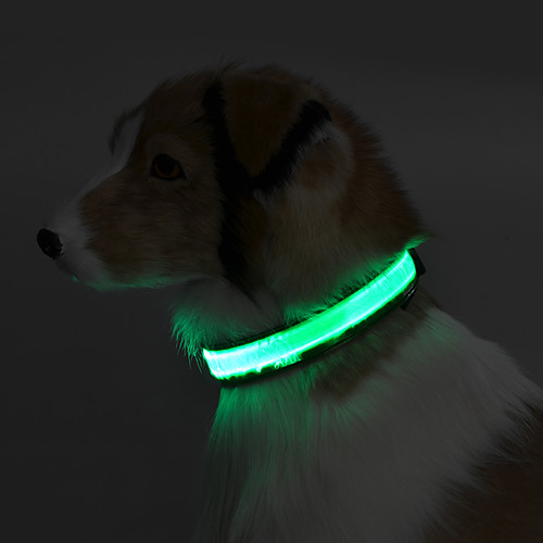 фото Собака ошейники отражение светодиодные фонарики однотонный терилен зеленый синий розовый Lightinthebox