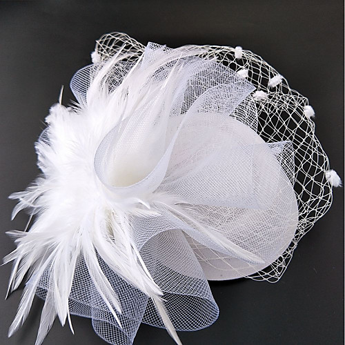 

Сеть Fascinators / Головные уборы / Завесы для птиц с Цветы 1шт Свадьба / Особые случаи Заставка