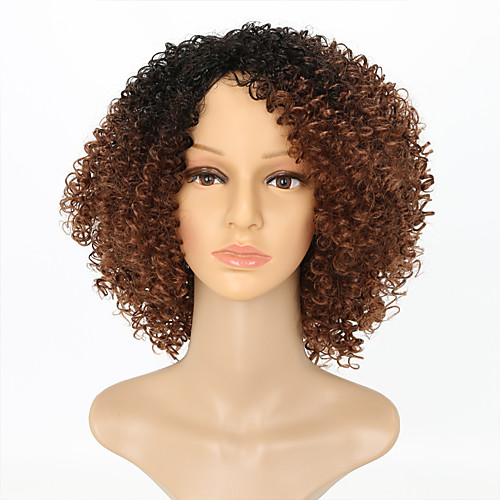 

Парики из искусственных волос Kinky Curly Стиль Без шапочки-основы Парик Коричневый Черный / коричневый Искусственные волосы Жен. Волосы с окрашиванием омбре Коричневый Парик Средние