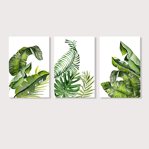 

С картинкой Отпечатки на холсте - ботанический Цветочные мотивы / ботанический Modern 3 панели Репродукции