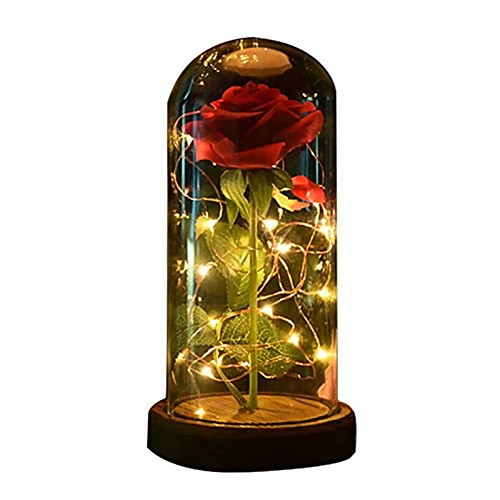 

1шт красавица и зверь роза и свет с опавшими лепестками в стеклянном куполе на деревянной основе подарят ей - праздник, день рождения, свадьба