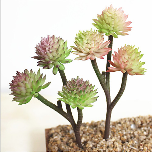 

Искусственные Цветы 1 Филиал Классический Деревня Современный современный Суккулентные растения Букеты на стол