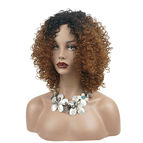 

Парики из искусственных волос Kinky Curly Стиль Средняя часть Без шапочки-основы Парик Светло-коричневый Темно-коричневый / Medium Auburn Искусственные волосы 16 дюймовый Жен. синтетический