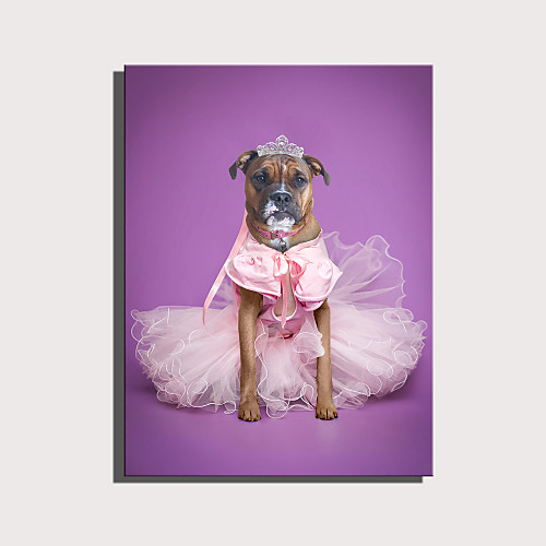 

e-home натянутый холст арт милая серия животных - розовая юбка принцесса собака украшения живопись один шт