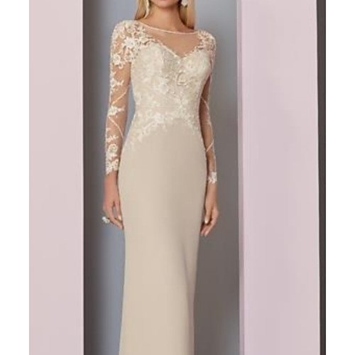 

Sheath / Column Jewel Neck Floor Length Chiffon / Lace Long Sleeve See Through Mother of the Bride Dress with Appliques / Lace 2020