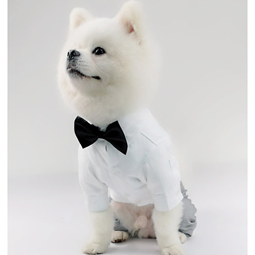 фото Собаки рубашка одежда для собак белый костюм полиэстер однотонный свадьба xs s m l xl xxl lightinthebox