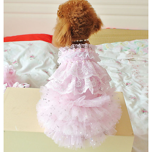 фото Собаки коты животные платья одежда для собак тонкая прозрачная ткань кружева розовый полиэстер костюм назначение лето японский и корейский стиль Lightinthebox