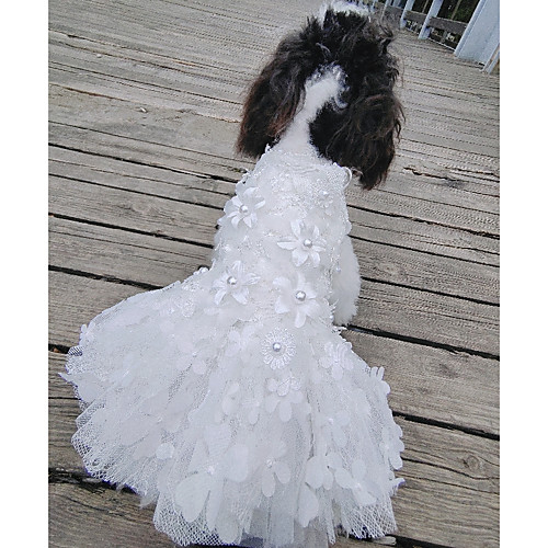 фото Собаки коты животные платья одежда для собак цветочные / ботанический тонкая прозрачная ткань белый полиэстер костюм назначение лето свадьба Lightinthebox