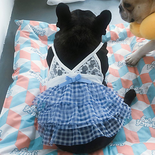 фото Собаки коты животные платья одежда для собак кружева синий полиэстер костюм назначение лето юбки и платья Lightinthebox