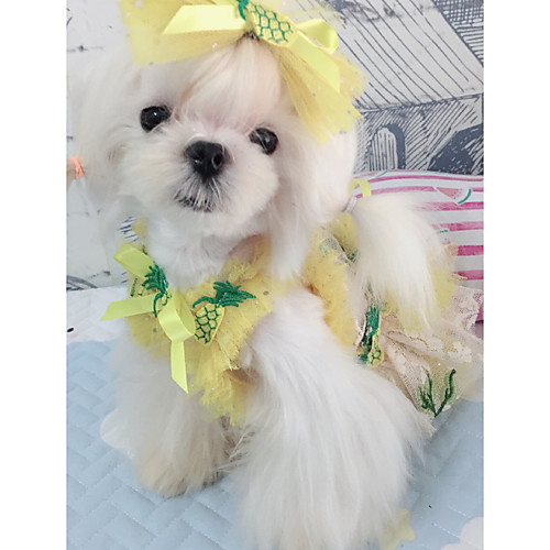 фото Собаки коты животные платья одежда для собак кружева вышивка желтый зеленый полиэстер костюм назначение лето тонкая прозрачная ткань симпатичные стиль Lightinthebox