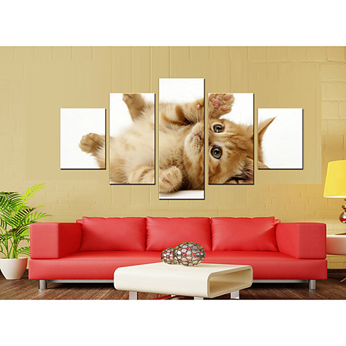 

5 Pieces Printing Decorative Painting Oil Painting Home Decorative Wall Art Picture Paint on Canvas Prints Animals Pets