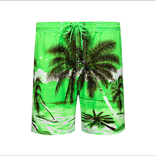 

Beach Board Shorts Men's Basic Light Blue Blue Green Swim Trunk Bottoms Swimwear Swimsuit - Geometric Print S M L Light Blue