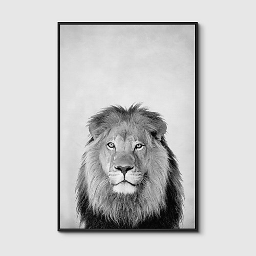

Framed Art Print Framed Canvas Prints - Animals PS Photo Wall Art