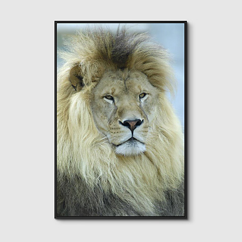 

Framed Art Print Framed Canvas Prints - Animals PS Photo Wall Art
