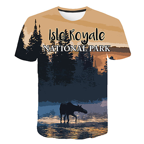 

Men's Daily Going out Basic T-shirt - Color Block / 3D / Scenery Print Navy Blue