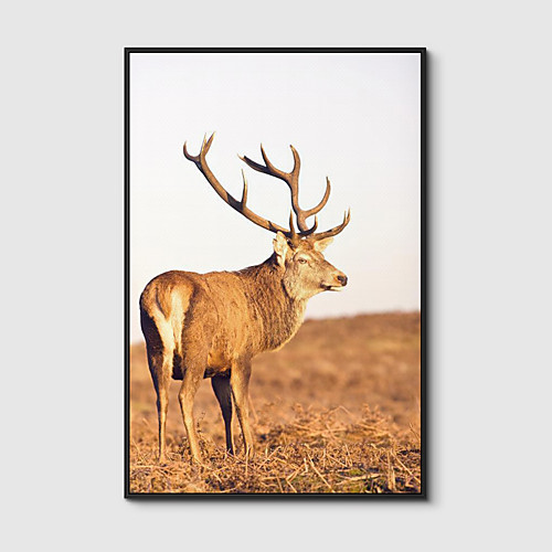 

Framed Art Print Framed Canvas Prints - Animals PS Photo Wall Art