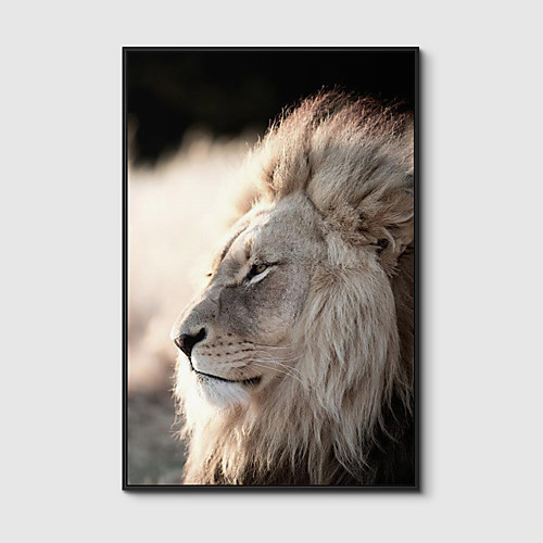 

Framed Art Print Framed Canvas Prints - Animals PS Photo Wall Art