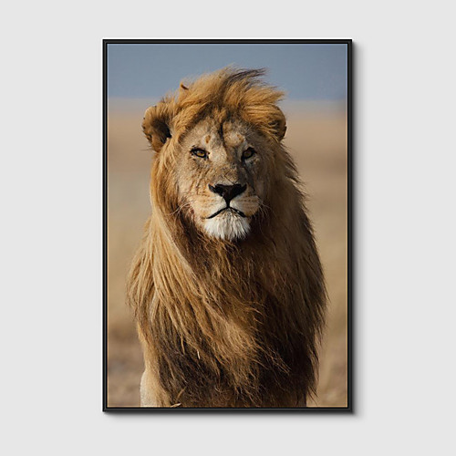 

Framed Art Print Framed Canvas Prints - Animals PS Photo Wall Art