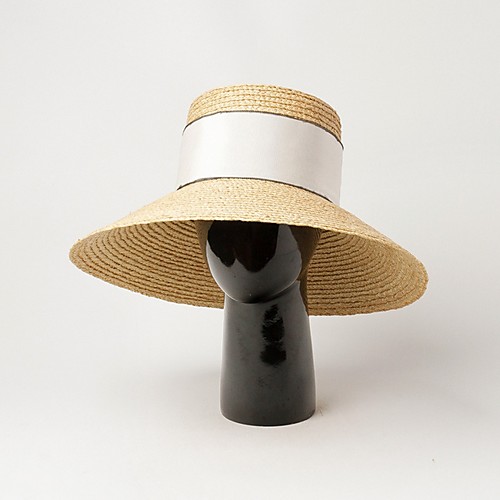 

Straw Straw Hats with Braided Strap 1 Piece Casual / Outdoor Headpiece