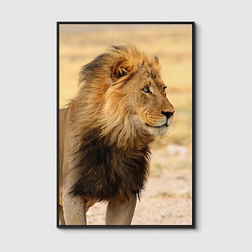 

Framed Art Print Framed Canvas Prints - Animals PS Photo Wall Art
