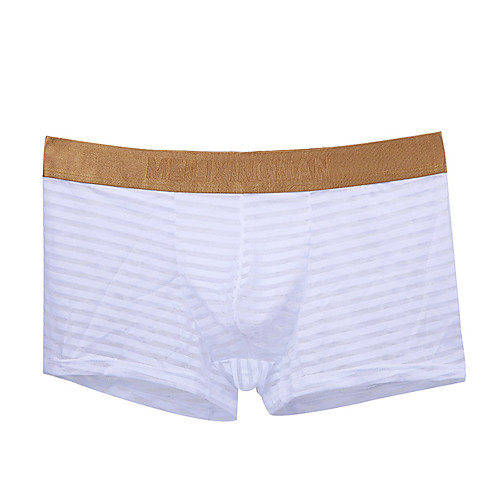 

Men's Mesh / Basic Boxers Underwear / Briefs Underwear Mid Waist Fuchsia Orange Blue M L XL