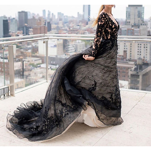 

A-Line V Neck Court Train Lace / Tulle Long Sleeve Country Plus Size / Black Wedding Dresses with Lace Insert / Appliques 2020