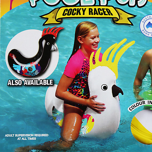 

Inflatable Pool Floats PVC Inflatable Durable Swimming Waterskiing & Towsports for Kids 110100 cm