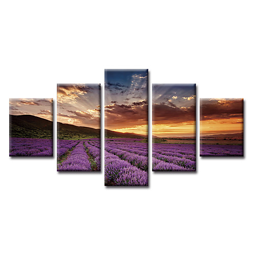 

5 Panels Modern Canvas Prints Painting Home Decor Artwork Pictures Decor Print Rolled Stretched Modern Art Prints Modern Art Prints