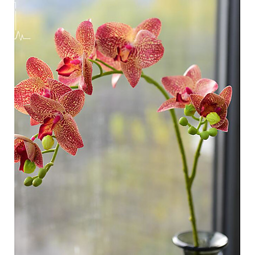 

Decorative Objects, Plastic Modern Contemporary for Home Decoration Gifts 1pc