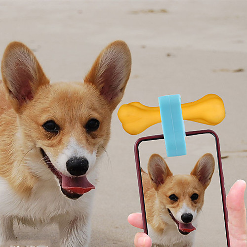 

Interactive Toy Dog Cat Pet Toy Portable Other Material Gift