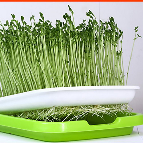 

5 PCS Value Pack Sprouts Nursery Tray Bean Sprouts Sprout Pot Planting Soilless Cultivation Equipment Hydroponic Vegetables Home Vegetable Planting Artifact
