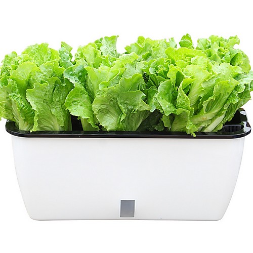 

Balcony Vegetable Pot Strawberry Potted Plastic Self-absorbent Flower Pot Outdoor Hydroponic Vegetable Home Garden Rectangular Flower Trough