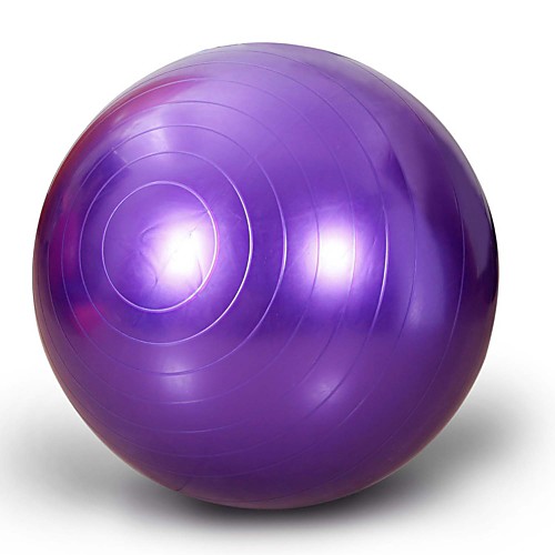 

65cm Exercise Ball / Yoga Ball Explosion-Proof Thick PVC / Vinyl Support 65 kg With Balance Training for Yoga Workout