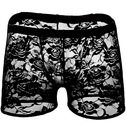 

Men's Lace / Mesh Boxers Underwear - Normal Low Waist Wine Light Blue Purple One-Size