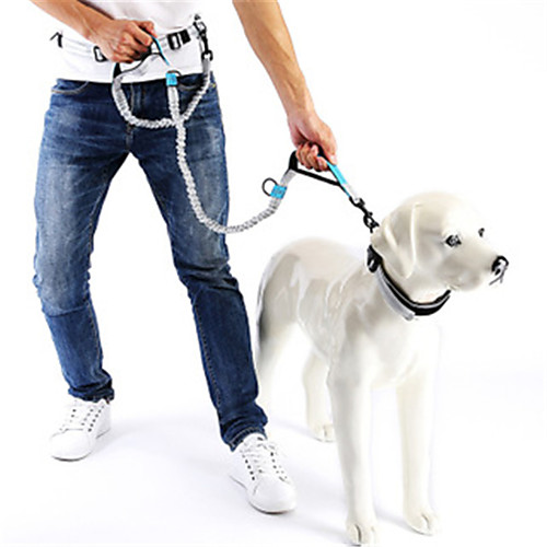 

Dog Cat Pets Leash Hands Free Leash Portable Retractable Soft Color Block Classic Polyester Orange Green Blue Husky Alaskan Malamute Dalmatian Border Collie Japanese Spitz Corgi 1pc